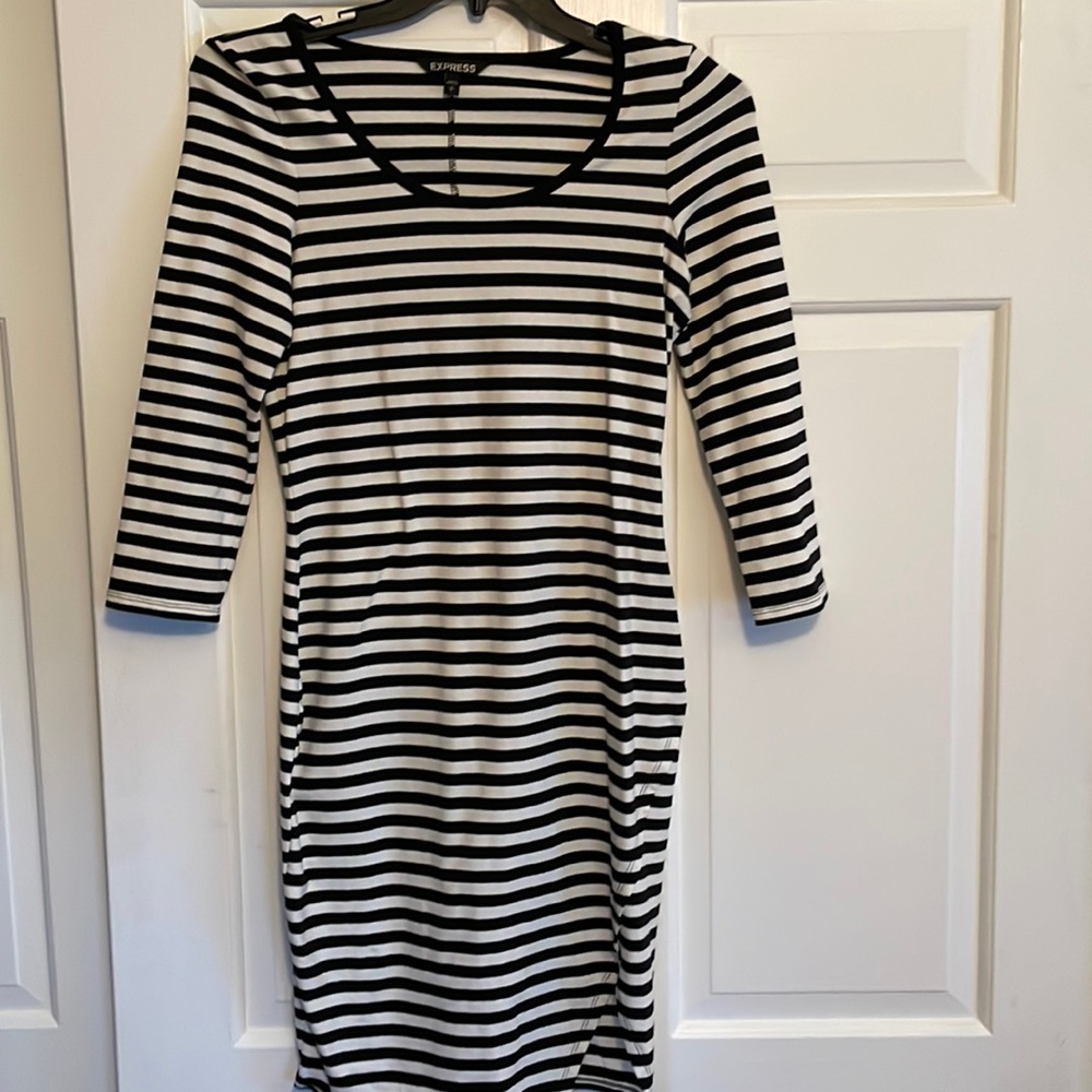 Express fitted dress